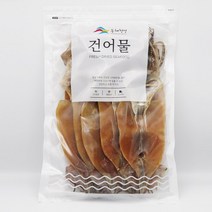 동해청정 동해안 건오징어 (구룡포), 10마리, 대