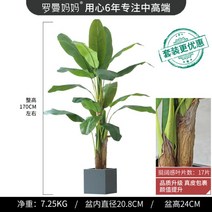 170센치 인테리어나무 조화 빅사이즈나무 대형식물 대형인조나무 바나나나무 170센치, 170CM+스퀘어 철예분 그레이 빅사이즈