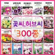 꽃씨 꽃씨몰 300종 허브씨 씨앗 다년생 노지월동 야생화 꽃씨앗 봄 제라늄 다알리아 작약, 238. 시계꽃 10립