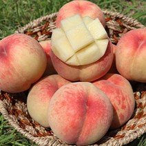 햇사레 장호원 백도복숭아 4kg 14-16과