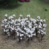 동아측기 포레스 디오라마 모형 목화, 대 2.8~3.3cm 5p