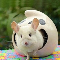 애완 동물 세라믹 둥지 여름 집 친칠라 기니 돼지 쥐 고슴도치 햄스터 액세서리 에어컨 룸, ghost+large