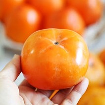 진영 단감 프리미엄 고당도 꿀단감 가정용 효도 선물용, 진영단감 최상품 (대과) 5kg21-23과