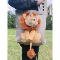 고양이산책가방 강아지백팩 고양이아기띠 아이보리, 다크 그레이 (6파운드미만고양이4파운드미만개)