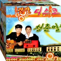 2CD 학창시절 추억 뽕짝 디스코 관광 안동역에서 이력서 오라버니 CD2 노래 음반