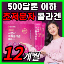 프리미엄 대용량 일양 500달톤 이하 초 저분자 피쉬 콜라겐 펩타이드 이너뷰티 골라겡 콜라갠 피부 보습 관리 스킨 케어 추천 효능 레몬맛 1000 mg 가루 분말 파우더 보조제, 360스틱(12개월)