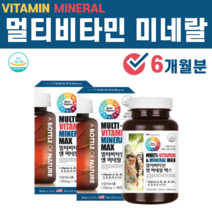 미국 직수입 멀티 종합 지용성 수용성 비타민 미네랄 영양 불균형 VITAMIN 바이타민 MINERAL 비타민 A D E K C B1 B2 B6 B12 비오틴 주석산수소콜린, 2병(6개월)