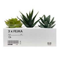이케아 페이카 다육식물 조화 3종 인조 꽃 인테리어 소품 장식 촬영, 1개