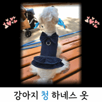 강아지 하네스 리드줄 세트 하네스 옷조끼 귀여운거 소형 xs s, 데님청하네스(긴리본)