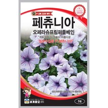 페츄니아 씨앗 폐츄니아 씨앗 꽃씨 꽃 씨앗 5알