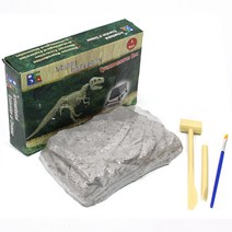 공룡화석 발굴키트(중형), 티라노사우루스