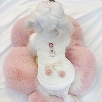 Neirny 강아지 뽀글이 후리스 패딩 하네스 데일리 애견 양털 아우터 겨울옷 포메 시츄 말티즈 비숑 푸들 고양이옷 QQMY-01, 화이트