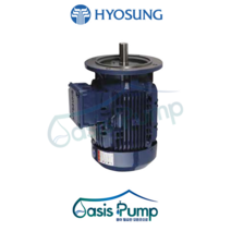 효성모터 0.75KW 1HP 입형 4P 220/380V 60HZ 버티컬 플랜지 삼상 전폐형 모터 프리미엄효율