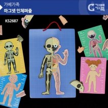 (가베가족) 교구 놀이감 KS2687 마그넷 인체퍼즐