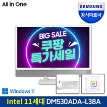 삼성전자 올인원 PC DM530ADA-L38AW (11세대 인텔 i3-1115G4 60.5cm), WIN10, RAM 8GB + 8GB, SSD 256GB