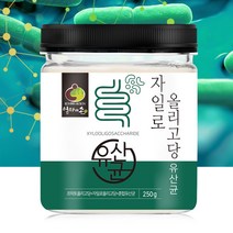 자일로올리고당 유산균 250g 자일로 바이오틱스 분말 가루 프락토올리고당 프리바이오틱스 유산균먹이, 1병