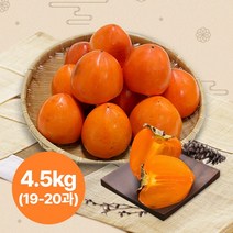 [KT알파쇼핑]영암대봉감 4.5kg (19-20과)