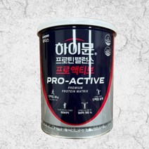 일동후디스 하이뮨 프로틴 밸런스 프로액티브 646g, 1개