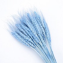 생화리스 프리저브드용액 비누 하바리움 긴기아난 루스커스 꽃 자연 밀 귀 인공 꽃 부케 홈 장식 테이블 웨, 03 파란