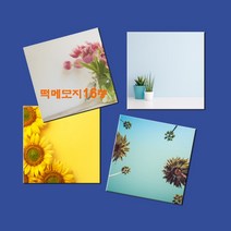 예닮 정사각형 메모지 16종 떡메 떡메모지 다쿠용품 캐릭터 귀여운 칼라 무지 메모지 메모장 메모패드 감성 예쁜 메모지 도안 인쇄 스티커 떡메모지제작 2권, 무지-블루