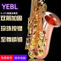 와이든 색스폰 풀패키지 명장 연습용 셀마알토색소폰 입문용 연주용 롤랜드 초보자용 악기, S-371 인동지존판 독타