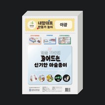더이안 슈링크필름 A4 아트 마술종이 슈링클 만들기, 야광 A4 100장