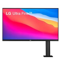 LG전자 32인치 4K UHD 울트라파인 모니터 32UN880