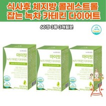 카테킨 엽산 녹차추출물 중년뱃살 다이어트플랜 한달 셀레늄 미네랄 허릿살 복부 Diet 단기간 단기다이어트