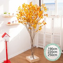 실내인테리어 인조나무 123종 / 플트 조화나무 C, C10.라인-단풍자작나무 220cmK/사방형, 1개
