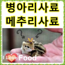 초이사료 병아리사료 1kg 소분판매전문 종합비타민 폐사방지 비타민 천연미네랄 무기질 다량함유 [명품사료], 2번 곡물중병아리1kg(5주이상 병아리