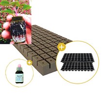 삽목용 오아시스104구+50구트레이 2장+발근력20ml+이름표사은품, 2셋트