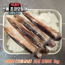 국내산 활 선동 초코 오징어 숙회 통찜오징어 1kg, 초코오징어 1kg