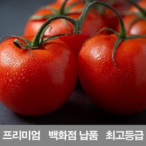 [CDS-212]영화청과 국내산 토마토 1kg 프리미엄 백화점 남품 요리 즙 키우기 재배, 본상품