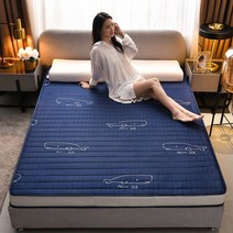 하드 토퍼 손님용 단단한 자취 접이식 침대용 좁은공간 하숙 바닥용 매트리스, 0.6x1.0, K