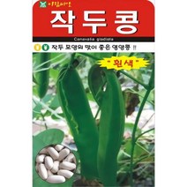 국산 넝쿨지는 오리지널 작두콩 흰색 씨앗 5립