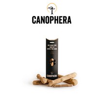 자체브랜드 카노페헤라 100% 커피나무 우드스틱 도그츄 덴탈스틱 XS, 1