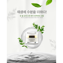 게리종 수분재생크림 듀 올 모이스쳐 하이 리커버리 크림, 1개(50ml)