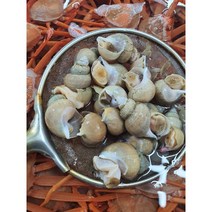 동해안 울릉도 자연산 백고동 백골뱅이 1kg, 백고동 대 1kg(15-25미)