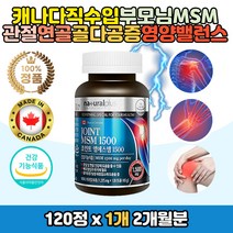 부모님 조인트 MSM 영양제 관절 연골 뼈 건강 JOINT 디메틸설폰 식이유황 치아 이빨 골다공증 위험 감소 도움 햇빛 선샤인 쏠라 비타민D 녹색입홍합 생선 피쉬콜라겐 마그네슘 상어연골 콘드로이친 상어연골분말 D3 케어 관리 중년 남자 여자 코스트코 직구