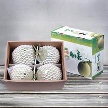 [농협] 머스크멜론 8kg이상(4-5수), 단품