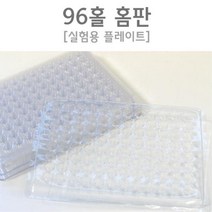 과학실험용 프레이트 96홀 홈판 10개 초등학생과학