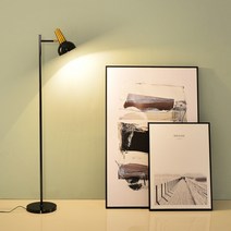 콜린퍼스 장스탠드 플로어 무드등 감성 조명 블랙+8w led 벌브 노란빛, 색상