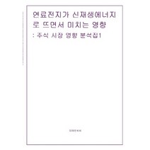 연료전지가 신재생에너지로 뜨면서 미치는 영향:주식 시장 영향 분석집(1), 테헤란씨씨, 테헤란씨씨