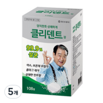 동아제약 클리덴트 정 틀니 세정제 (치아교정기 세정가능), 108개입, 10개