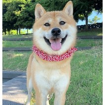 반려동물 당초무늬 곱창밴드 강아지 고양이 목도리 스카프 애견애묘 케이프 반다나 시바견 악세사리, S, 레드