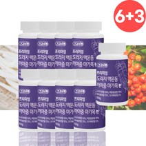 까마중 맥문동 마가목 카마중 까마종 가루 분말 환 9개