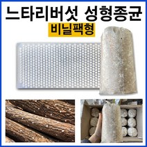 [느타리버섯 종균] 접종형 성형 버섯 종균 성형버섯종균 캡슐형 느타리 병 종균 텃밭 가정, 01. 느타리버섯(606구 캡슐형)