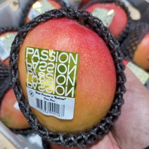 프리미엄 애플망고 달콤한 망고 선물세트 항공수입, 1박스, 항공직송 애플망고 1kg 특대(2과)