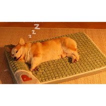 애견 매트 방석 쿠션 난방 보온 탈부착 및 세척 가능, 벨벳 쿠션 소형