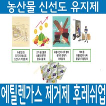 신선도 유지제 에틸렌 가스 제거 후레쉬업 대형(4.5g) 100개 사과 복숭아 감귤 자두, 중형 2g, 300개